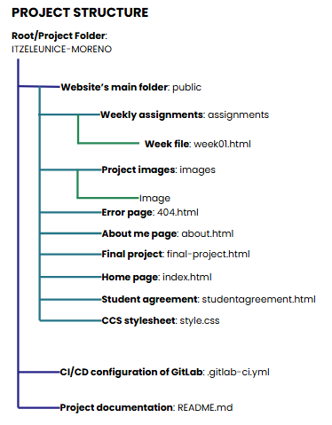 Project Structure